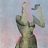 Queen of Camouflage 8