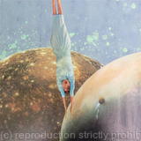 Houston, we got a problem 2