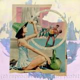 Spotted on the Rocks