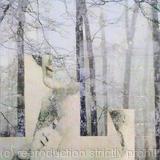 My Name is Wood... Natalie Wood.