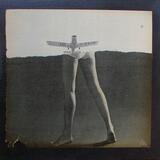 Four Feet and Rising ( diptych right )