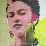 FRIDA SERIES