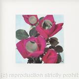 Behind the Roses (Right)