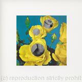 Behind the Roses (Left)