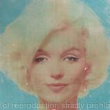Blue Marilyn