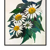 Daisies