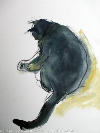 Cat Study 3