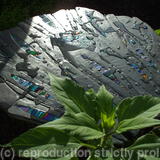 Beth's Table Low Tide, and two chairs