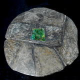 Briological Notes garden table