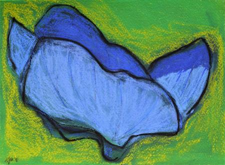 Common Field Speedwell