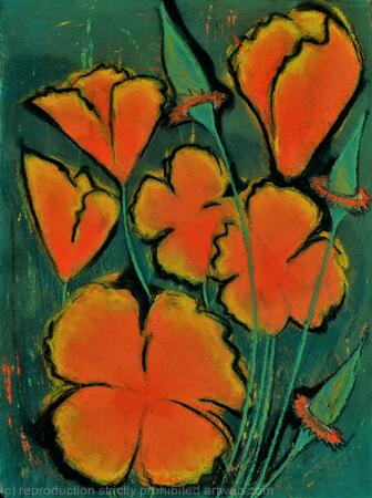 Hippy (Californian) Poppy