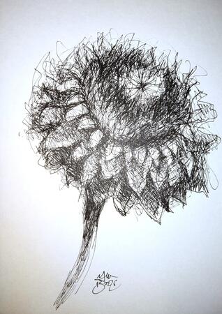 Artichoke2