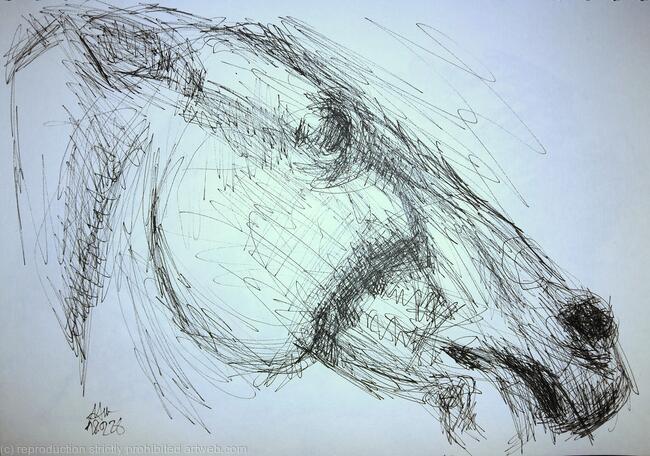 BM Parthenon marbles pediment horse head 2