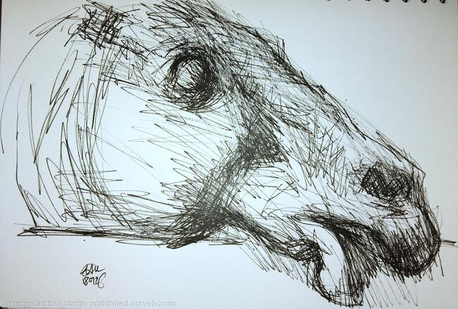 BM Parthenon marbles pediment horse head 2