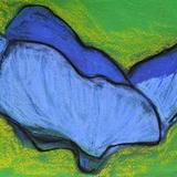 Common Field Speedwell