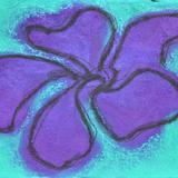 It might be a Cranesbill