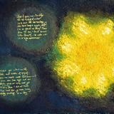 There's a flower that shall be mine, T'is the little Celandine