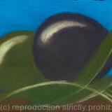 olive, per favore, per sapore