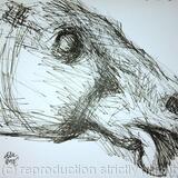 BM Parthenon marbles pediment horse head 2