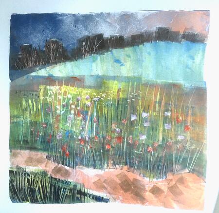 Path through the Poppy  Fields