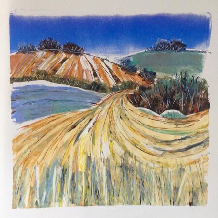 Linseed and Barley Fields