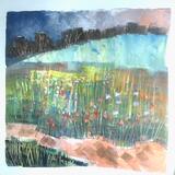 Path through the Poppy  Fields