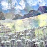 Summer fields , cow parsley 