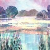 Summer Fields , Marshlands