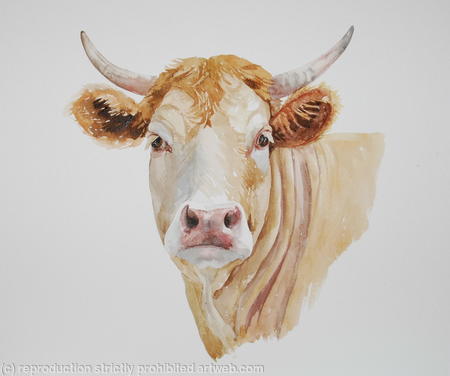 Gallic Disdain (Blond d'Aquitaine)