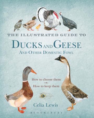 The Illustrated Guide to Ducks and Geese 
