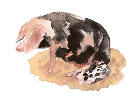 Bayeux Sow and Piglet