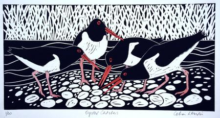 Oyster catchers
