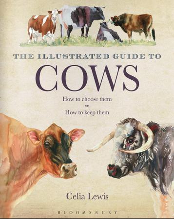 The Illustrated Guide to Cows