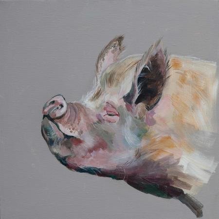 Middle White (Agatha)