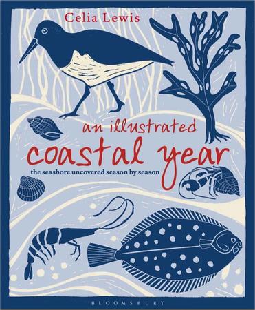 An Illustrated Coastal Year
