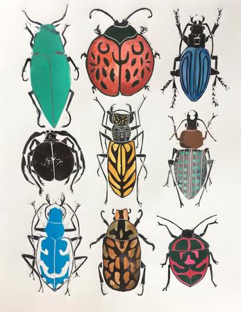 Coleoptera II
