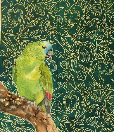 Amazonian Green Parrot
