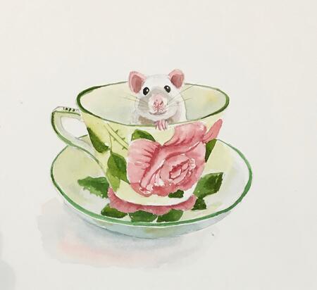 Scottish mouse in Wemyss