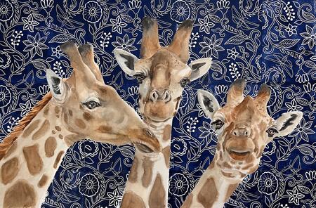 Three Giraffes