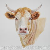 Gallic Disdain (Blond d'Aquitaine)