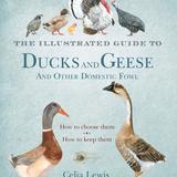 The Illustrated Guide to Ducks and Geese 