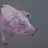 Sabrina (Chester White)