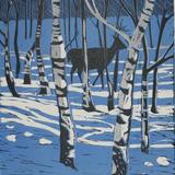 Stag in Birch trees