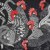 Cacophony of Cockerels