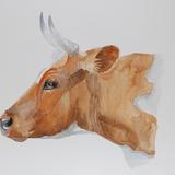 Meuse Rhine Issel (MRI)