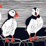 Puffins