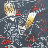 Fieldfares