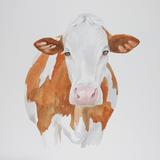 Gertrude (Montbeliard)