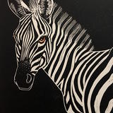 Zebra on black