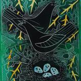 Blackbirds with nest